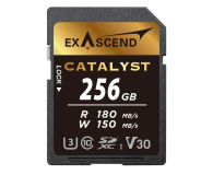 Karta pamięci ExAscend  EX256GSDU1